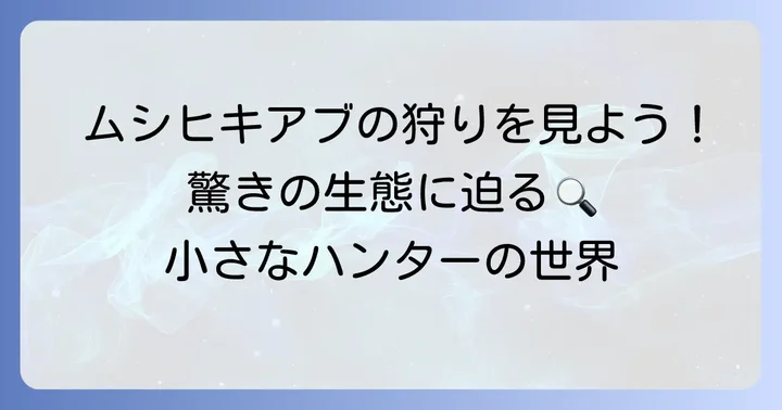 「む」から始まる昆虫の代表格！ムシヒキアブの生態に迫る