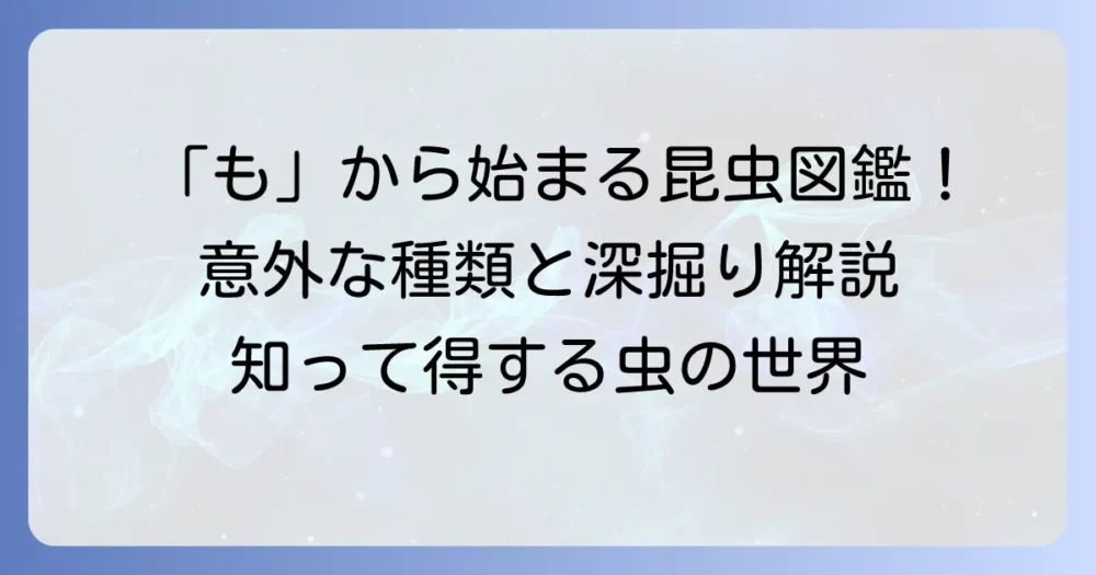 「も」から始まる昆虫を徹底解説！意外な種類と特徴を深掘り