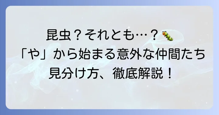 昆虫と間違えやすい「や」から始まる生き物たち