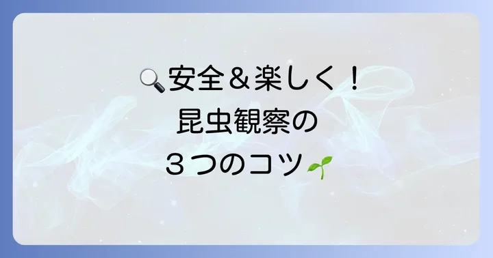 昆虫観察のコツと注意点