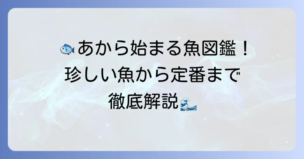 あから始まる魚の名前を徹底解説！珍しい魚から定番まで網羅
