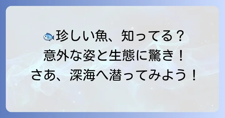 知っておきたい！「え」から始まる少し珍しい魚たち