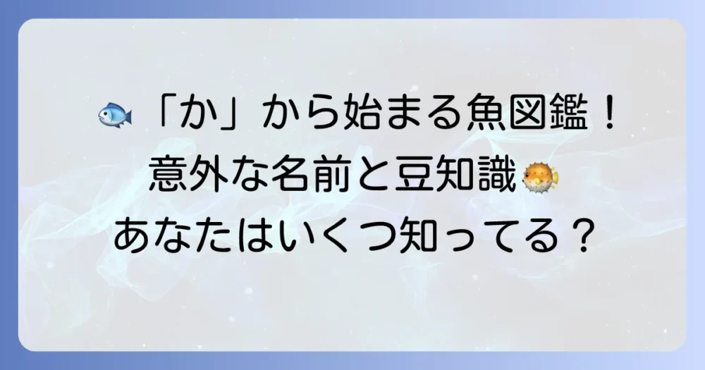 「か」から始まる魚の名前一覧！特徴や漢字も徹底解説