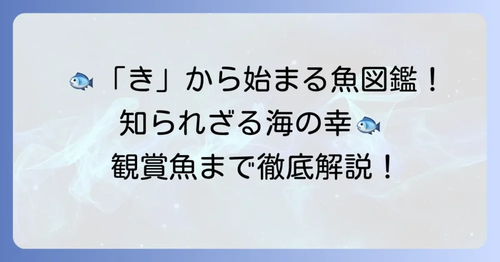 「き」から始まる魚を徹底解説！知られざる海の幸から観賞魚まで