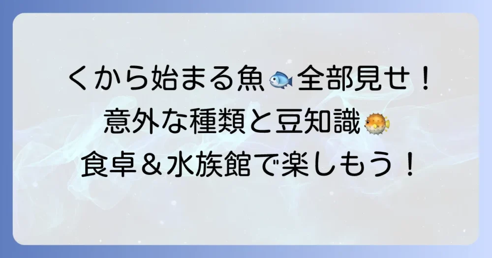 「く」から始まる魚の名前を網羅的に紹介！特徴や生息地も解説
