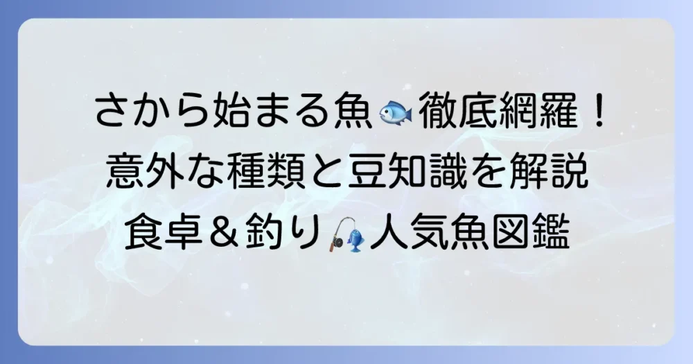 「さ」から始まる魚の名前を徹底網羅！特徴や豆知識も紹介