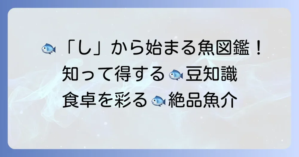 「し」から始まる魚を徹底解説！食卓を彩る美味しい魚から珍しい魚まで