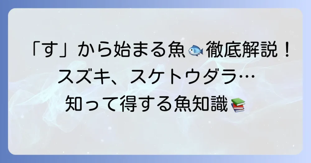 「す」から始まる魚を徹底解説！食卓で人気の種類から珍しい魚まで