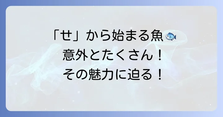 「せ」から始まる魚は意外と多い？その魅力に迫る