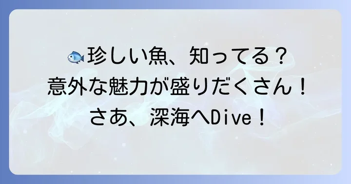 知っておきたい！少し珍しい「せ」から始まる魚たち