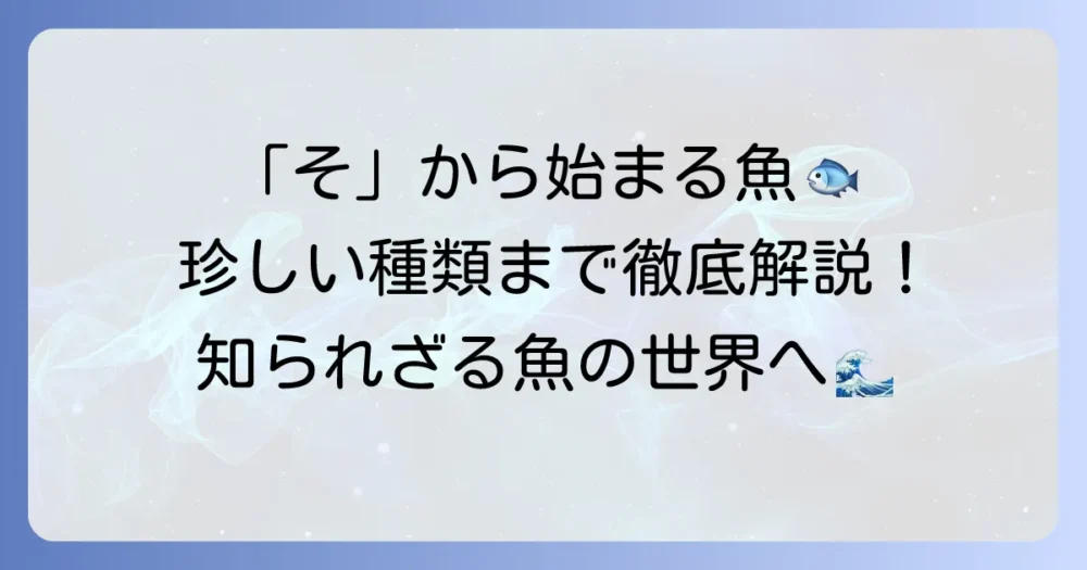 「そ」から始まる魚を徹底解説！珍しい種類から人気魚まで網羅