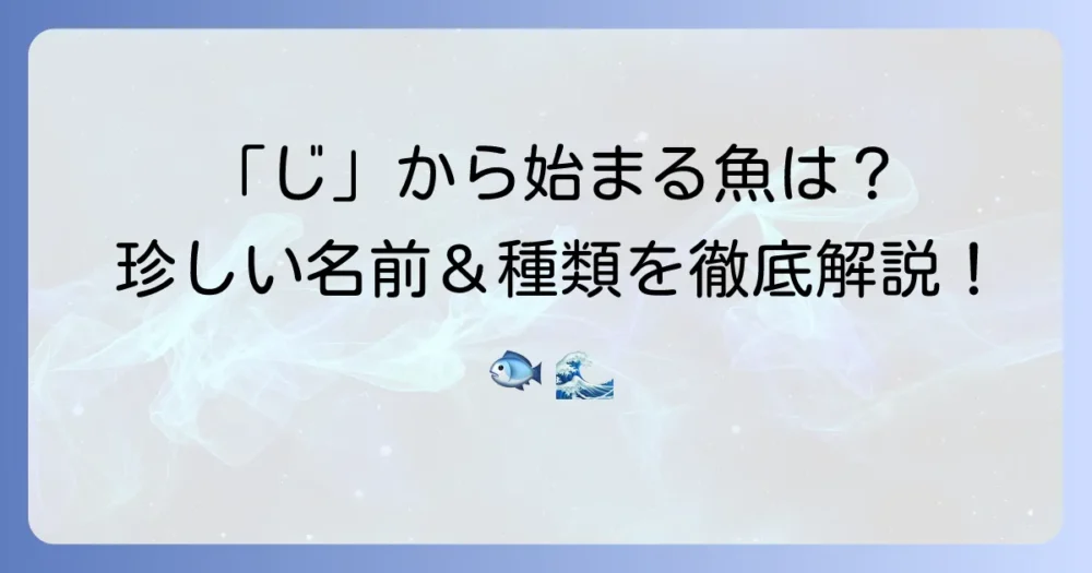 「じ」から始まる魚の名前を徹底解説！珍しい種類から身近な魚まで