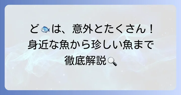 代表的な「ど」から始まる魚たち
