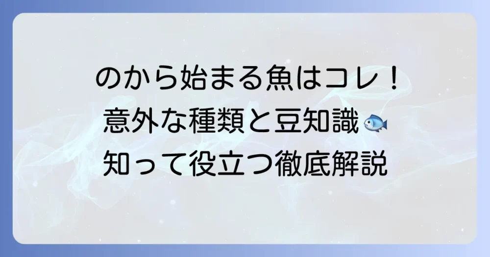 「の」から始まる魚の名前を徹底解説!意外な魚から人気の魚まで
