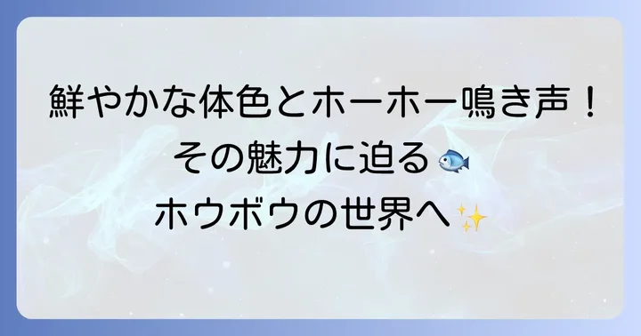 美しい姿と独特の鳴き声が魅力「ホウボウ」