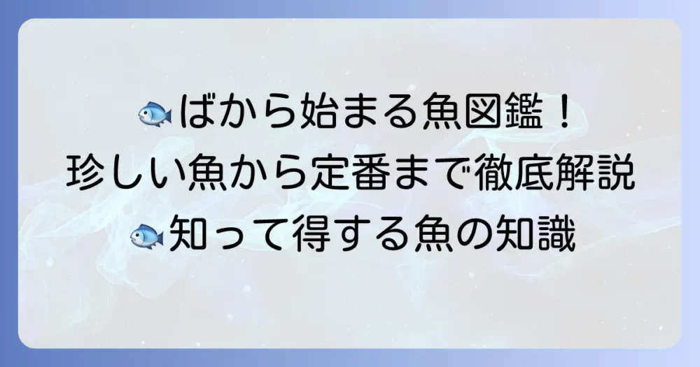 「ば」から始まる魚の名前一覧！珍しい魚から食卓でおなじみの魚まで徹底解説