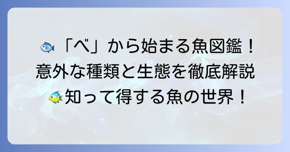 「べ」から始まる魚を徹底解説！代表種から珍しい魚まで網羅