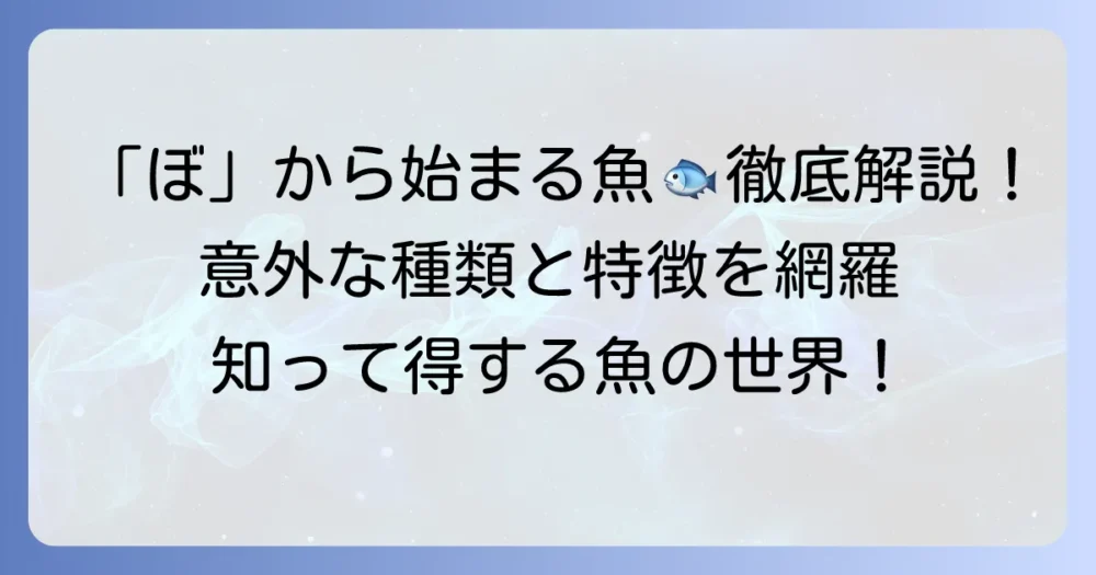 「ぼ」から始まる魚の名前を徹底解説！意外な種類から特徴まで網羅