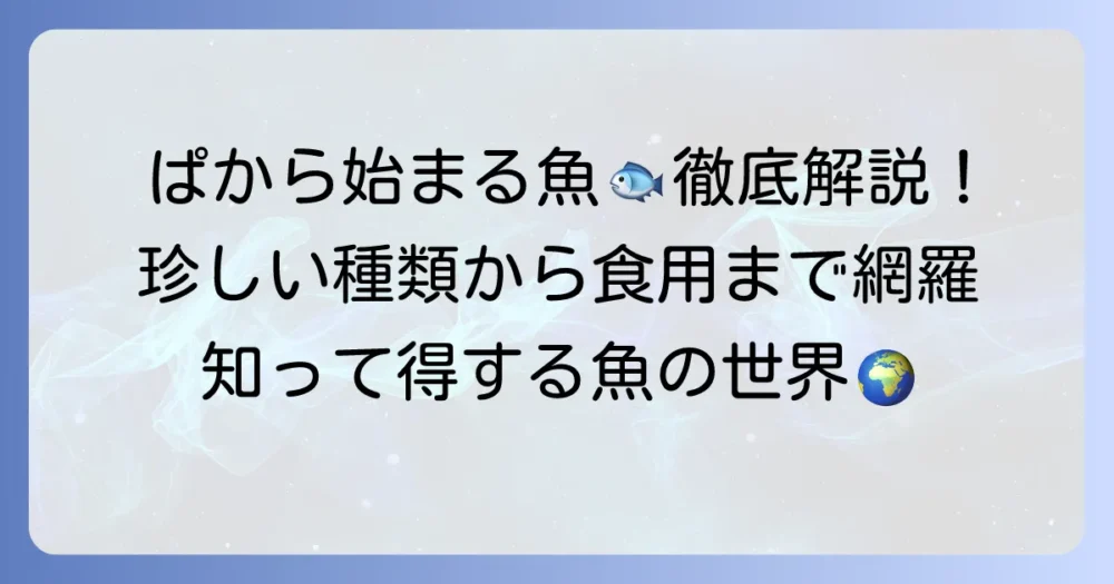 「ぱ」から始まる魚の名前を徹底解説！珍しい種類から食用まで網羅