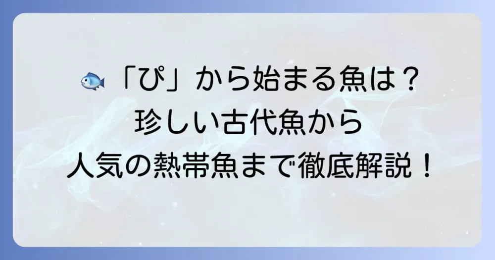 「ぴ」から始まる魚の名前を徹底解説！珍しい古代魚から人気の熱帯魚まで