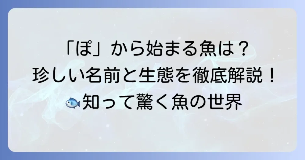 「ぽ」から始まる魚の名前を徹底解説！珍しい魚の生態と特徴