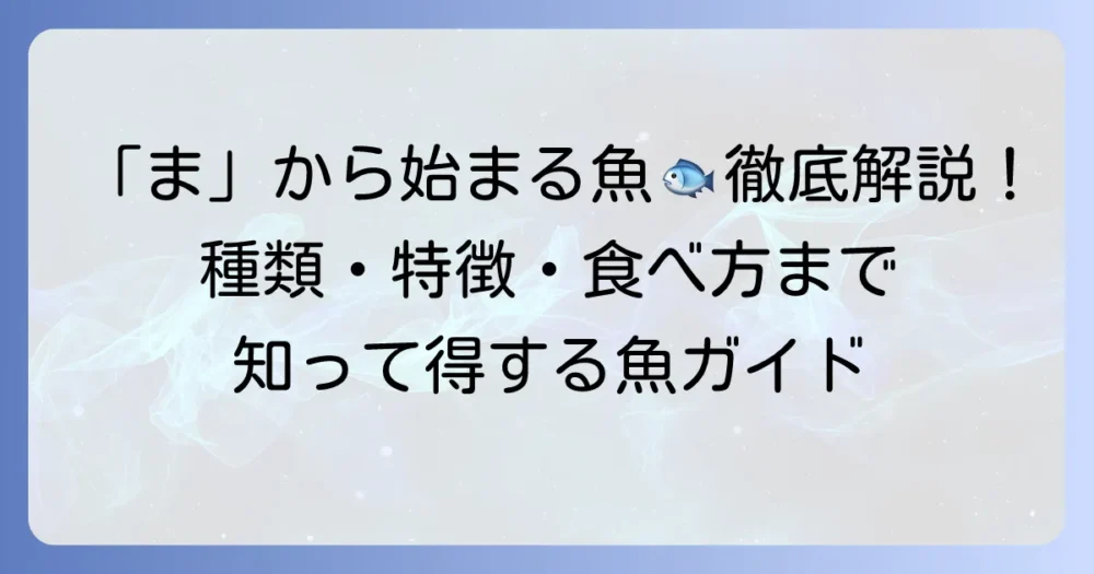 「ま」から始まる魚の名前を徹底解説！種類や特徴、美味しい食べ方まで