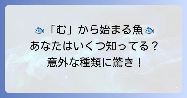 むから始まる魚たちを一挙紹介！