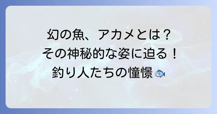 「幻の魚」アカメの魅力に迫る