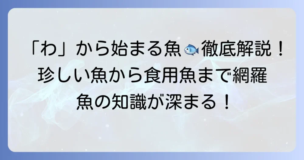 「わ」から始まる魚の名前を徹底解説！珍しい魚から食用魚まで網羅