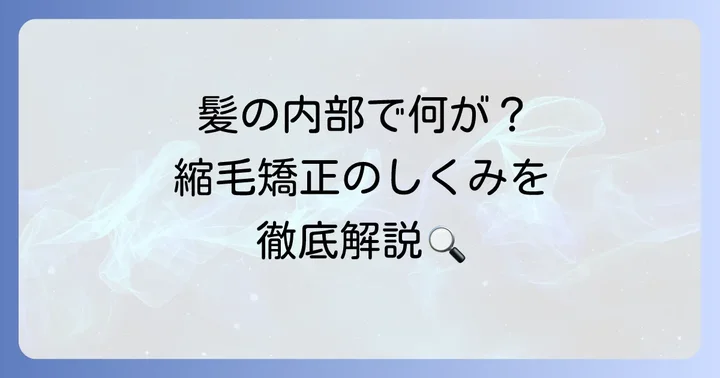 縮毛矯正の化学的なしくみ：髪の内部で何が起こるのか