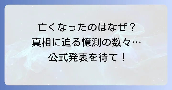 息子さんの死因に関する現状と憶測