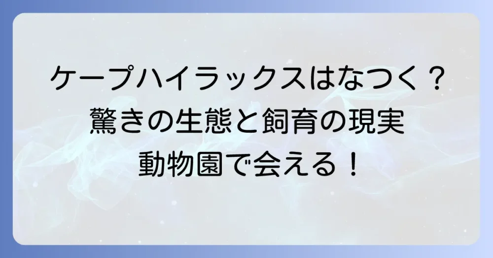 ケープハイラックスはなつく？ その驚きの生態と飼育の現実、動物園での出会い方