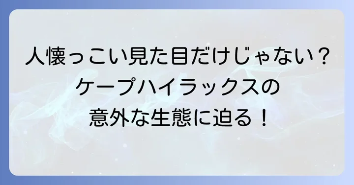 ケープハイラックスは人になつくのか？野生動物との関わり方