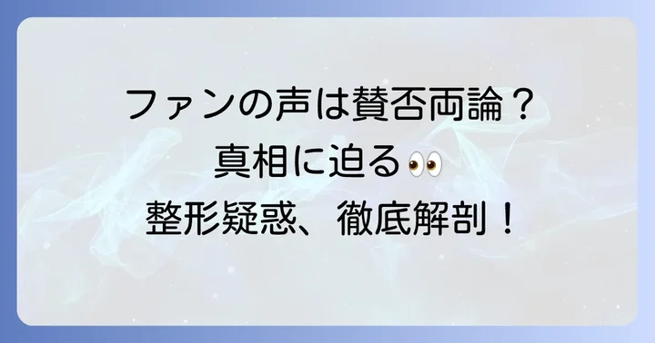 整形疑惑に対するファンの声と専門家の見解