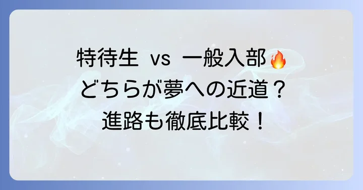 一般入部と特待生の違い、そしてその後の進路