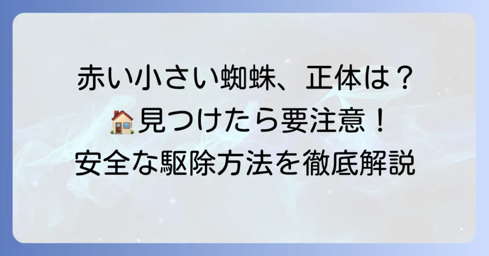 家の中にいる赤い小さい蜘蛛の正体と安全な対処法を徹底解説