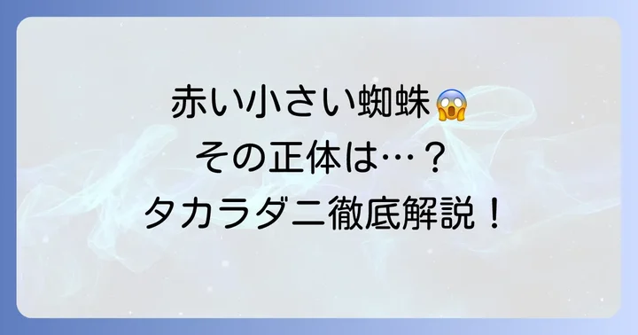 赤い小さい蜘蛛、その正体は？