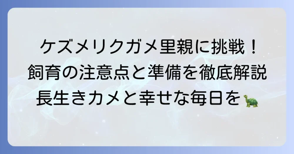 ケズメリクガメの里親になる方法と飼育の注意点徹底解説