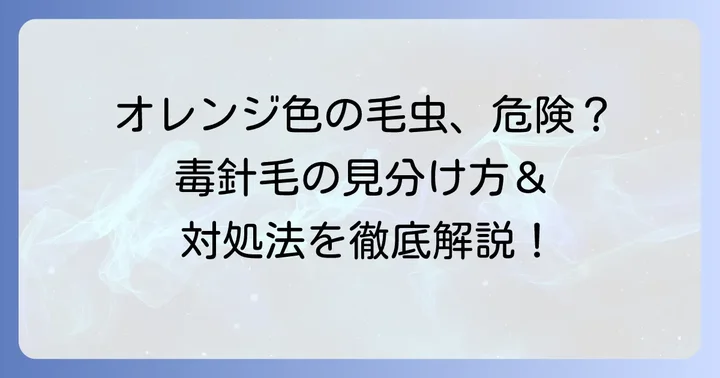 オレンジ毛虫は毒がある？危険な毛虫の見分け方と注意点