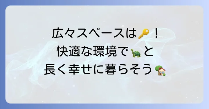 ケヅメリクガメの飼育環境を整えるコツ