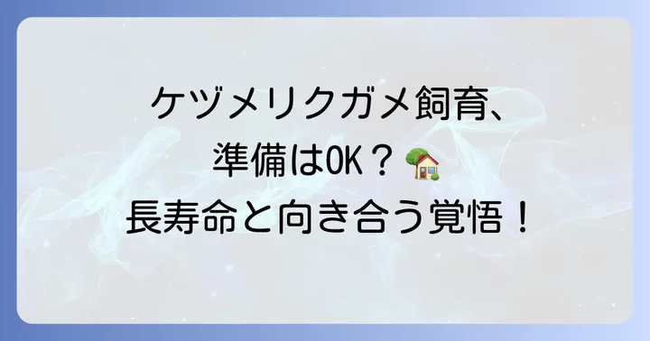 ケヅメリクガメを飼う前に知っておくべきこと