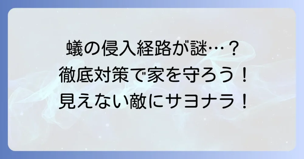 蟻の侵入口がわからない時の解決策！家を蟻から守る方法を徹底解説