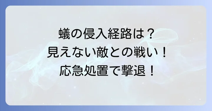 蟻の侵入口がわからないと困る理由と今すぐできる応急処置