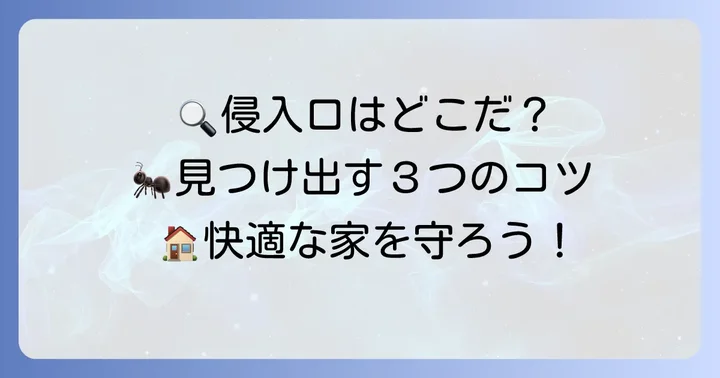 蟻の侵入口を見つけるための具体的なコツ