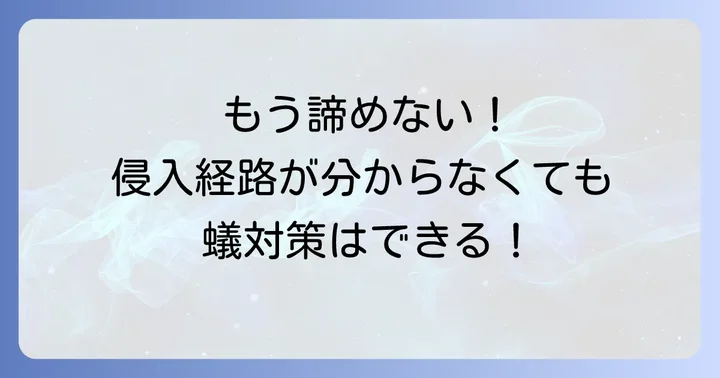 侵入口が特定できない場合の長期的な蟻対策