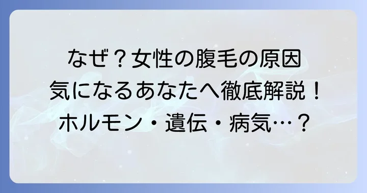 お腹に毛が生えるのはなぜ？女性の腹毛の主な原因