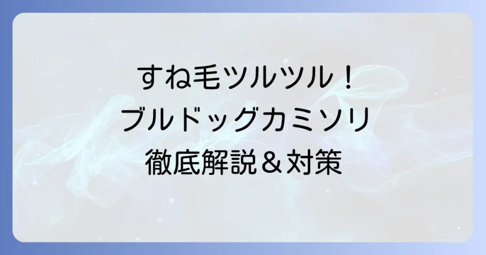 ブルドッグカミソリで、すね毛をツルツルにする！正しい剃り方と肌荒れ対策を徹底解説