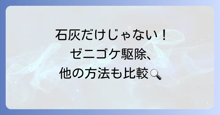 石灰以外のゼニゴケ駆除方法と比較