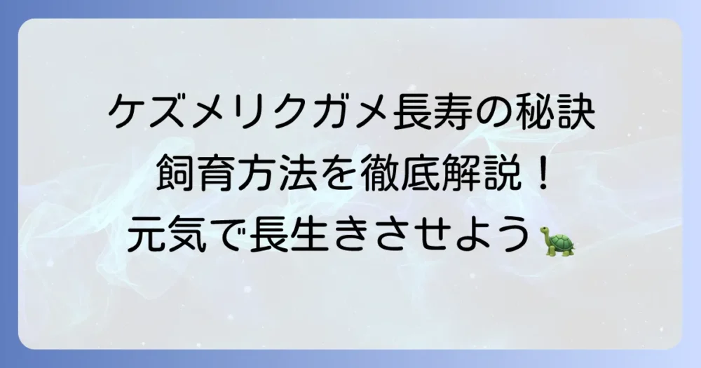 ケズメリクガメの寿命を延ばす飼育方法と長寿の秘訣を徹底解説