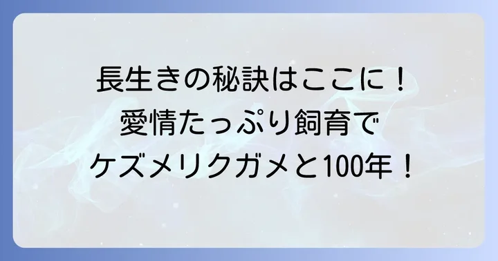 ケズメリクガメを長生きさせるための具体的な飼育方法